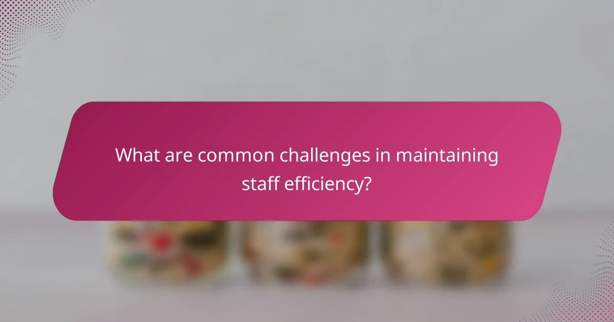 What are common challenges in maintaining staff efficiency?